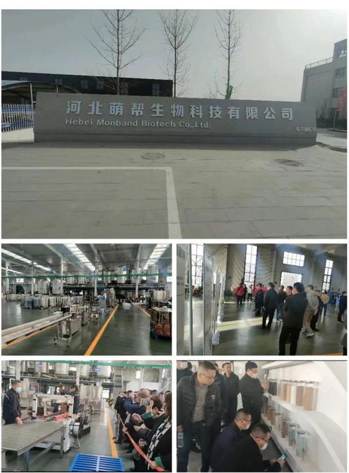 技術創新引領市場 撬動生物刺激劑類物質重組，萌幫股份發展步入新階段